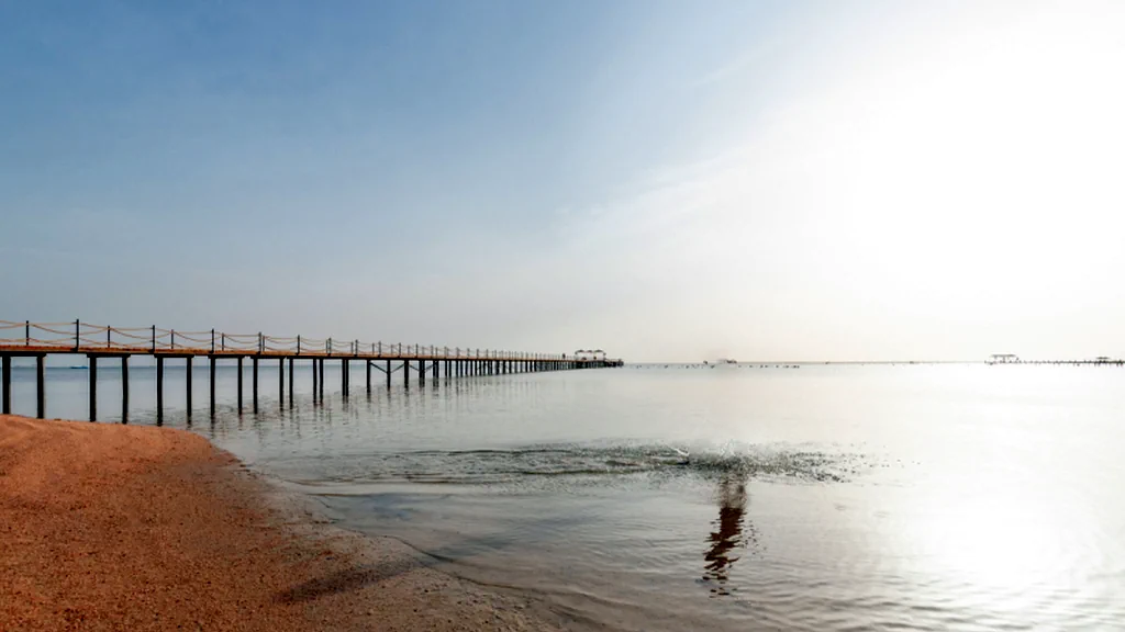 الفندق الباتروس لاجونا فيستا بيتش ريزورت - شرم الشيخ